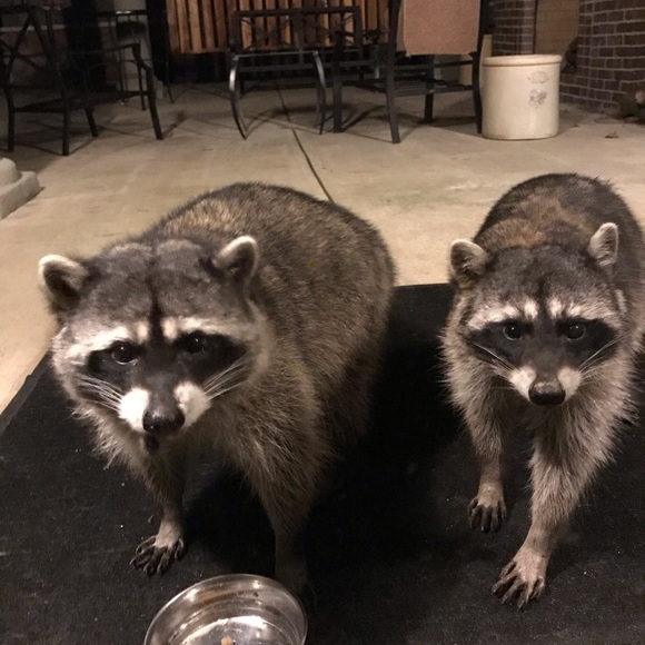 A little about my closet.... - Picture 3 of 8